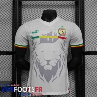 Maillot de Foot Senegal Special Edition Homme 2023 TBB221