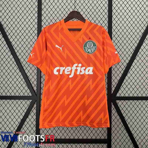 Maillot De Foot Palmeiras Goalkeeper Homme 24 25 TBB390