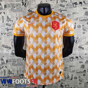 Maillot De Foot Pays-Bas Domicile Homme 2022 2023 AG17