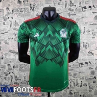 Maillot De Foot Mexique Vert Homme 2022 2023 AG31