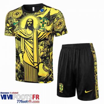 Maillot De Foot Bresil Homme 24 25 H301