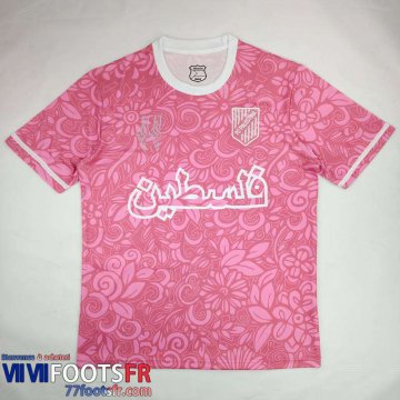 Maillot De Foot Palestine Special Edition Homme 24 25 TBB673