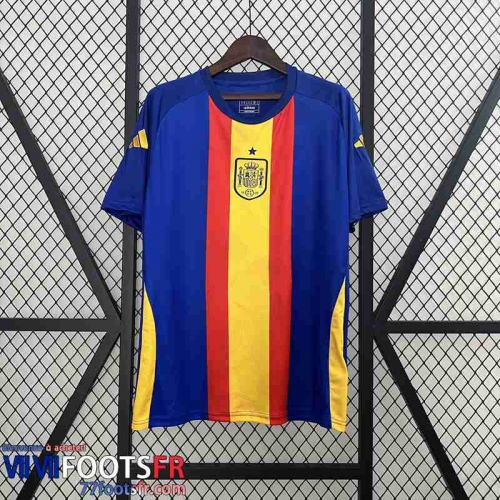 Maillot De Foot Espagne Special Edition Homme 2024 TBB482