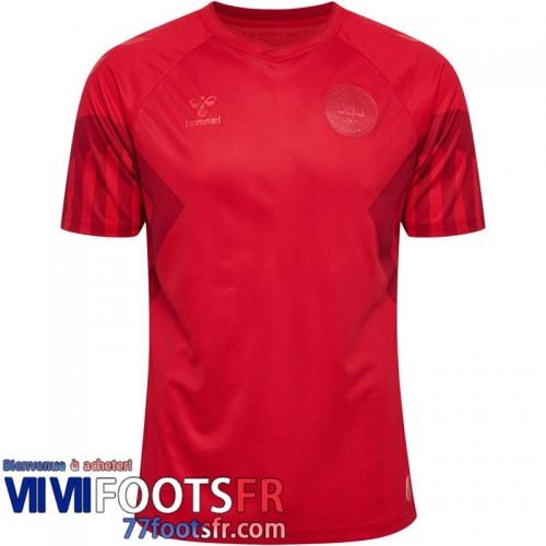 Maillot De Foot Danemark Domicile Homme World Cup 2022