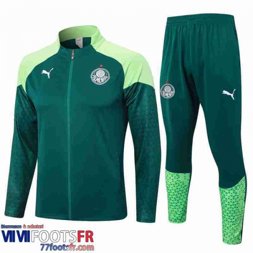 Veste Foot Palmeiras Homme 24 25 B222