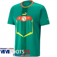 Maillot De Foot Senegal Domicile Homme World Cup 2022