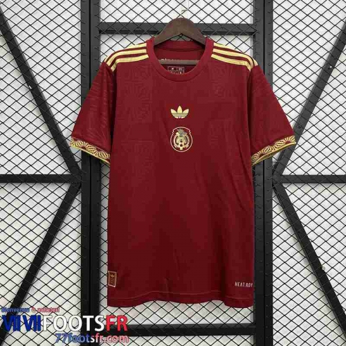 Maillot De Foot Mexique Special Edition Homme 2025 TBB796