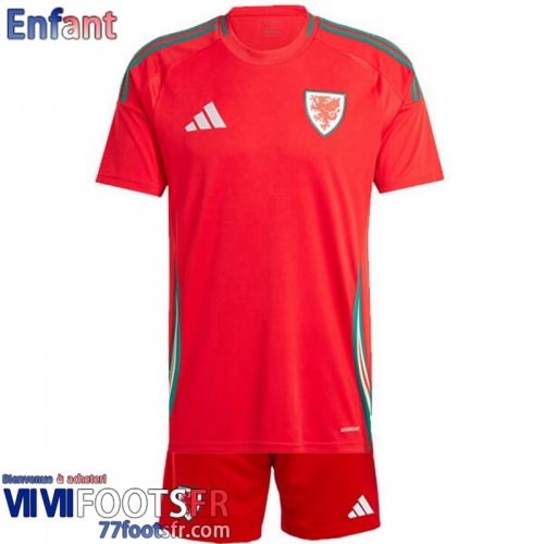 Maillot De Foot Wales Domicile Enfant 2024