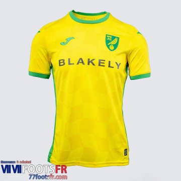 Maillot De Foot Norwich City Exterieur Homme 24 25